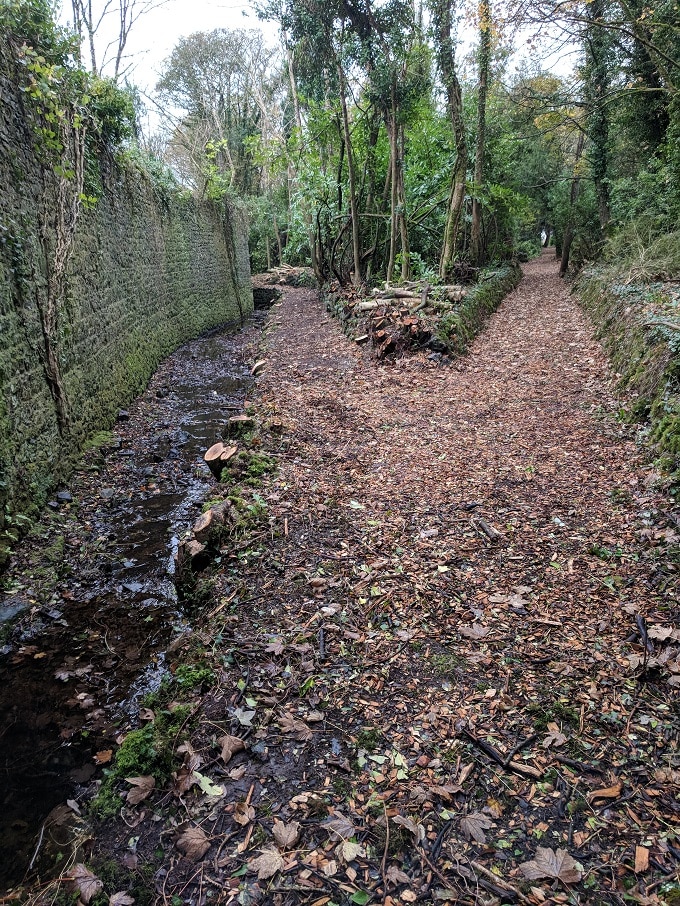 Path through the estate forest